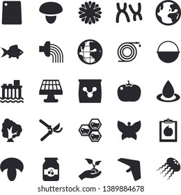 Solid vector icon set - cauldron flat vector, cutting board, mushroom, tomato, fish, jam, honeycomb, tree, flower, hose, secateurs, seedlings, irrigation, butterflies, fertilizer vectory, drop, diet