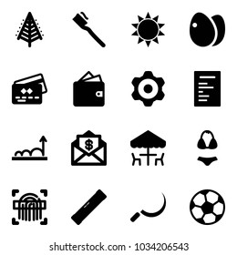 Solid vector icon set - christmas tree vector, tooth brush, sun, eggs, credit card, wallet, gear, document, growth, mail dollar, outdoor cafe, swimsuit, fingerprint scanner, level, sickle
