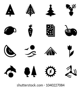 Solid vector icon set - christmas tree vector, holly, lemon, carrot, breads, coconut cocktail, watermelone, waves, tent, tulip, dolphin, forest, sun power, wind mill