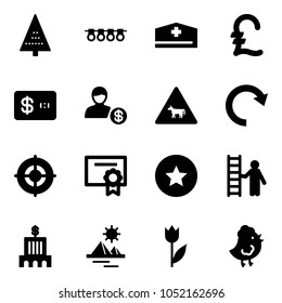 Solid vector icon set - christmas tree vector, garland, doctor hat, pound, credit card, account, cow road sign, redo, target, certificate, star medal, opportunity, bank building, pyramid, tulip
