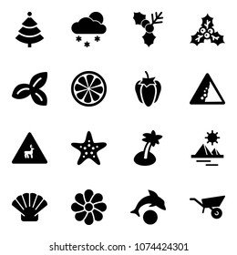 Solid vector icon set - christmas tree vector, snowfall, holly, three leafs, lemon slice, sweet pepper, landslide road sign, wild animals, starfish, palm, pyramid, shell, flower, dolphin