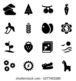 Solid vector icon set - clouds vector, christmas tree, rowanberry, carrot, banana, spica, eggs, gear globe, sproute, strawberry, photo, waves, flower, sun power, crocodile, toy giraffe