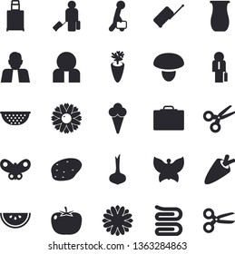 Solid vector icon set - colander flat vector, towel, jugful, mushroom, potato, tomato, onion, carrot, watermelon, ice cream, flower, butterflies, person, businessman, luggage fector, suitcase