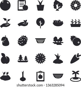 Solid vector icon set - colander flat vector, onion, carrot, salad, cranberry, blackberry, plum, pear, orange, home plant, tree, flower, seedlings, planting plants, forest, diet, island fector