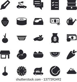 Solid vector icon set - colander flat vector, double boiler, legumes, onion, carrot, canned food, watermelon, salad, Strawberry, flower, seedlings, watering can, pool, eco cars, electric, cash, chat