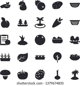 Solid vector icon set - colander flat vector, mushroom, potato, tomato, onion, carrot, salad, cranberry, blackberry, plum, pear, orange, tree, seedlings, planting plants, leaf, forest, diet