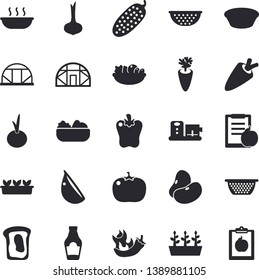 Solid vector icon set - colander flat vector, food processor, ketchup, legumes, onion, carrot, salad, soup, garlic, bell pepper, hot peppers, tomato, cucumber, sandwich, seedlings, greenhouse, diet