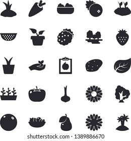 Solid vector icon set - colander flat vector, potato, tomato, onion, carrot, salad, cranberry, Strawberry, blackberry, pear, orange, home plant, tree, flower, seedlings, planting plants, leaf, diet