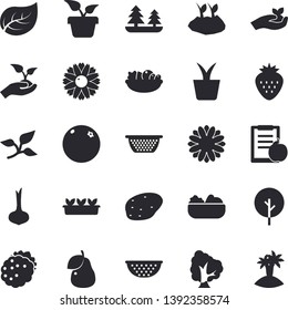 Solid vector icon set - colander flat vector, potato, onion, salad, Strawberry, blackberry, pear, orange, home plant, tree, flower, seedlings, planting plants, leaf, forest, diet, island fector