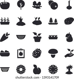 Solid vector icon set - colander flat vector, mushroom, potato, tomato, onion, carrot, salad, cranberry, blackberry, plum, pear, home plant, tree, flower, seedlings, planting plants, forest, diet