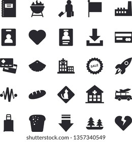 Solid vector icon set - color scheme flat vector, barbecue, bread, forest, manufactory, credit card, flag, sell out, heart, hospital, badge, rocket, notebook, electric discharge fector, indentity