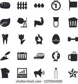 Solid Vector Icon Set - Concrete Mixer Flat Vector, Trowel, Fence, Kitchen Egg Timer, Cutlet, Lemonade, Tea, Tulip, Bonfire, Tree Leaf, Accumulator, Flag, Blood Test, Breast, Tooth, Computer, Globe