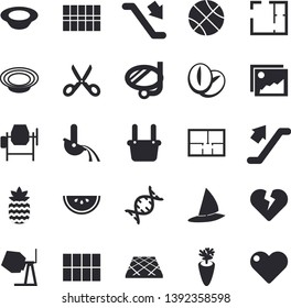 Solid vector icon set - concrete mixer flat vector, house layout, tile, flooring, scissors, watermelon, dish, coffee beans, carrot, pineapple, metallurgy, dna, basketball, escalator fector, gallery