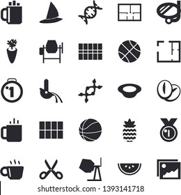 Solid vector icon set - concrete mixer flat vector, house layout, tile, scissors, watermelon, dish, coffee beans, carrot, tea, pineapple, metallurgy, dna, medal, basketball, swimming mask fector