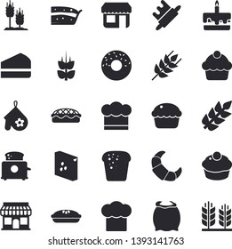 Solid vector icon set - cook hat flat vector, potholder, rolling pin, toaster, flour, groats, ear, croissant, cake, bread, cupcake, piece of, donut, pie, store front