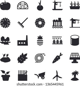 Solid vector icon set - crane flat vector, onion, tomato, pineapple, home plant, carrot, flower, sprinkling machine, hose, rake, planting plants, garden wheelbarrow, seedlings, greenhouse, windmill