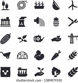 Solid vector icon set - crane flat vector, ear, legumes, garlic, cucumber, pineapple, carrot, tree, hose, secateurs, seedlings, watering can, irrigation, garden wheelbarrow, greenhouse, windmill