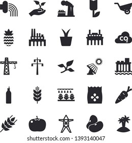Solid vector icon set - crane flat vector, ear, legumes, tomato, pineapple, mustard, seeds, home plant, carrot, sprinkling machine, seedlings, hose irrigation, garden wheelbarrow, tulip, tree leaf
