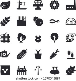 Solid vector icon set - cucumber flat vector, cranberry, ear, home plant, carrot, tree, flower, hose, secateurs, watering can, planting plants, greenhouse, fertilizer vectory, solar battery, leaf