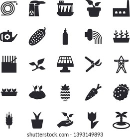 Solid vector icon set - cucumber flat vector, blackberry, pineapple, mustard, ear, home plant, carrot, hose, secateurs, seedlings, watering can, planting plants, irrigation, tulip, solar battery