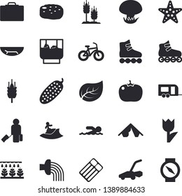 Solid vector icon set - cutlet flat vector, tomato, cucumber, whiskey, mushroom, ear, sprinkling machine, hose irrigation, tulip, lawn mower, tree leaf, bicycle, roller Skates, swimming, luggage