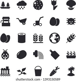 Solid vector icon set - cutting board flat vector, egg, ear, lemon, canned food, cutlet, mushroom, well, carrot, ladybird, bucketful, hose irrigation, garden wheelbarrow, tulip, seedlings, rain