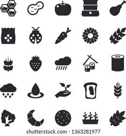 Solid vector icon set - double boiler flat vector, ham, biscuit, croissant, canned food, tomato, fish rolls, Strawberry, honeycomb, sandwich, ear, seeds, carrot, tree, flower, ladybird, seedlings