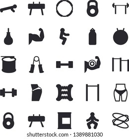 Solid vector icon set - dumbbell flat vector, barbell, weight, muscles, buttocks, waistline, carpal expander, parallel bars, sports equipment horse, pear, fitball, gymnastics, squats, push up, hoop