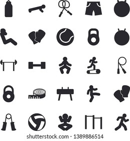 Solid vector icon set - dumbbell flat vector, barbell, weight, volleyball, centimeter, skipping rope, carpal expander, parallel bars, sports equipment horse, pear, athletic shorts, tennis ball, yoga