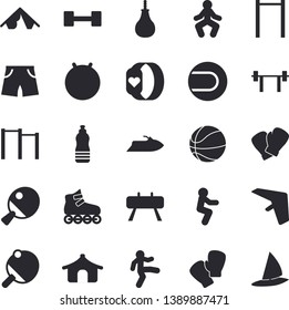 Solid vector icon set - dumbbell flat vector, barbell, basketball, parallel bars, sports equipment horse, pear, athletic shorts, tennis ball, fitball, boxing gloves, roller Skates, gymnastics, water