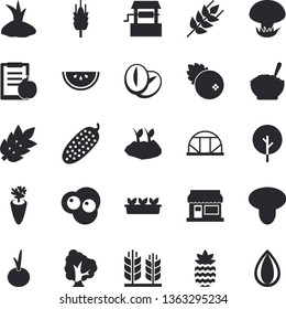 Solid vector icon set - ear flat vector, watermelon, porridge, coffee beans, carrot, onion, cucumber, scrambled eggs, cranberry, pineapple, mushroom, well, tree, grain warehouse, planting plants