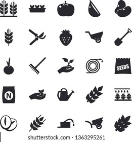 Solid vector icon set - ear flat vector, legumes, coffee beans, garlic, onion, tomato, Strawberry, seeds, fertilizer vectory, sprinkling machine, shovel, hose, secateurs, seedlings, rake, spike