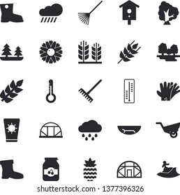 Solid vector icon set - ear flat vector, jam, pineapple, thermometer, nesting box, tree, flower, rake, garden wheelbarrow, gumboots, gloves, rain, greenhouse, forest, sea beach fector, surfing