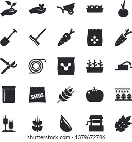 Solid vector icon set - ear flat vector, garlic, onion, tomato, jam, seeds, well, carrot, sprinkling machine, shovel, hose, secateurs, seedlings, rake, garden wheelbarrow, fertilizer vectory, spike