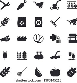 Solid vector icon set - ear flat vector, coffee beans, garlic, tomato, seeds, fertilizer vectory, well, carrot, sprinkling machine, secateurs, seedlings, rake, planting plants, hose irrigation