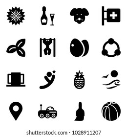 Solid vector icon set - firework vector, wine, dog, first aid room, three leafs, pull ups, eggs, community, doors, flying man, pineapple, waves, navigation pin, moon rover, brush, basketball