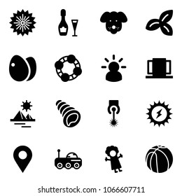 Solid vector icon set - firework vector, wine, dog, three leafs, eggs, friends, idea, doors, pyramid, shell, laser, sun power, navigation pin, moon rover, doll, basketball