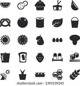 Solid vector icon set - gas flat vector, spice, bagel, cake, egg, canned food, watermelon, garlic, fish rolls, sashimi, Strawberry, pear, honeycomb, sandwich, orange, mushroom, home plant, flower