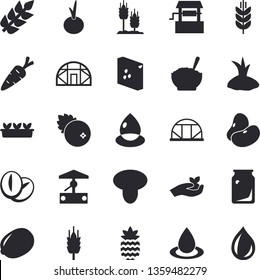 Solid vector icon set - groats flat vector, legumes, lemon, porridge, coffee beans, onion, cranberry, pineapple, mushroom, ear, well, carrot, seedlings, planting plants, greenhouse, drop, spike