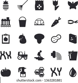 Solid vector icon set - groats flat vector, tomato, pineapple, pear, honeycomb, mushroom, seeds, carrot, pulverizer, tractor, secateurs, rake, bucketful, hose irrigation, tulip, butterflies, pond