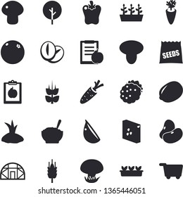 Solid vector icon set - groats flat vector, legumes, lemon, mushroom, porridge, coffee beans, carrot, garlic, bell pepper, blackberry, ear, orange, seeds, tree, planting plants, seedlings, diet