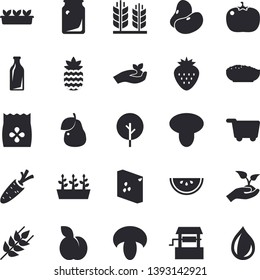 Solid vector icon set - groats flat vector, ear, legumes, watermelon, mushroom, porridge, tomato, Strawberry, pineapple, plum, pear, seeds, well, carrot, tree, seedlings, glass bottles, drop