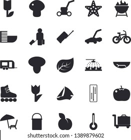 Solid vector icon set - hiking pot flat vector, temperature, barbecue, mushroom, tomato, plum, thermometer, sprinkling machine, tulip, lawn mower, tree leaf, bicycle, roller Skates, trailer fector