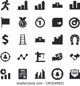 Solid vector icon set - horseshoe flat vector, ladder, crane, target audience, chart, dollar, investments, purse, statistics, scatter, flag, statistic, agreement, contract, medal, pedestal, run