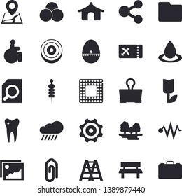 Solid Vector Icon Set - Ladder Flat Vector, Kitchen Egg Timer, Canape, Tulip, Rain, Bench, Forest, Cogwheel, Drop, Molecules, Disabled, Tooth, Computer File, Magnifier, Cpu, Target, Pills, Ticket