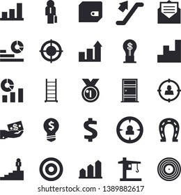 Solid vector icon set - ladder flat vector, Entrance door, horseshoe, crane, target audience, dollar, investments, purse, idea, statistics, businessman, career, chart, medal, achievement, message