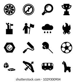 Solid vector icon set - lemon slice vector, no parkin odd, magnifier, win cup, rain cloud, fire, nut, paint roller, horse stick toy, soccer ball, constructor blocks, bow, bus, giraffe