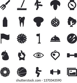 Solid vector icon set - measure flat vector, mushroom, pear, tree, flower, pitchfork, bonfire, flag, eye, sperm, tooth, dumbbell, basketball, sports, gymnastics, squats, disco ball fector, jingle
