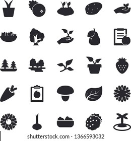 Solid vector icon set - mushroom flat vector, potato, onion, carrot, salad, cranberry, Strawberry, blackberry, pear, home plant, tree, flower, seedlings, planting plants, leaf, forest, diet