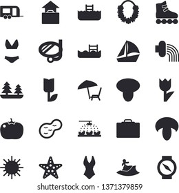 Solid vector icon set - mushroom flat vector, tomato, sprinkling machine, hose irrigation, tulip, sun, pond, forest, sailboat, swimsuit, roller Skates, pool, trailer fector, suitcase, hand luggage